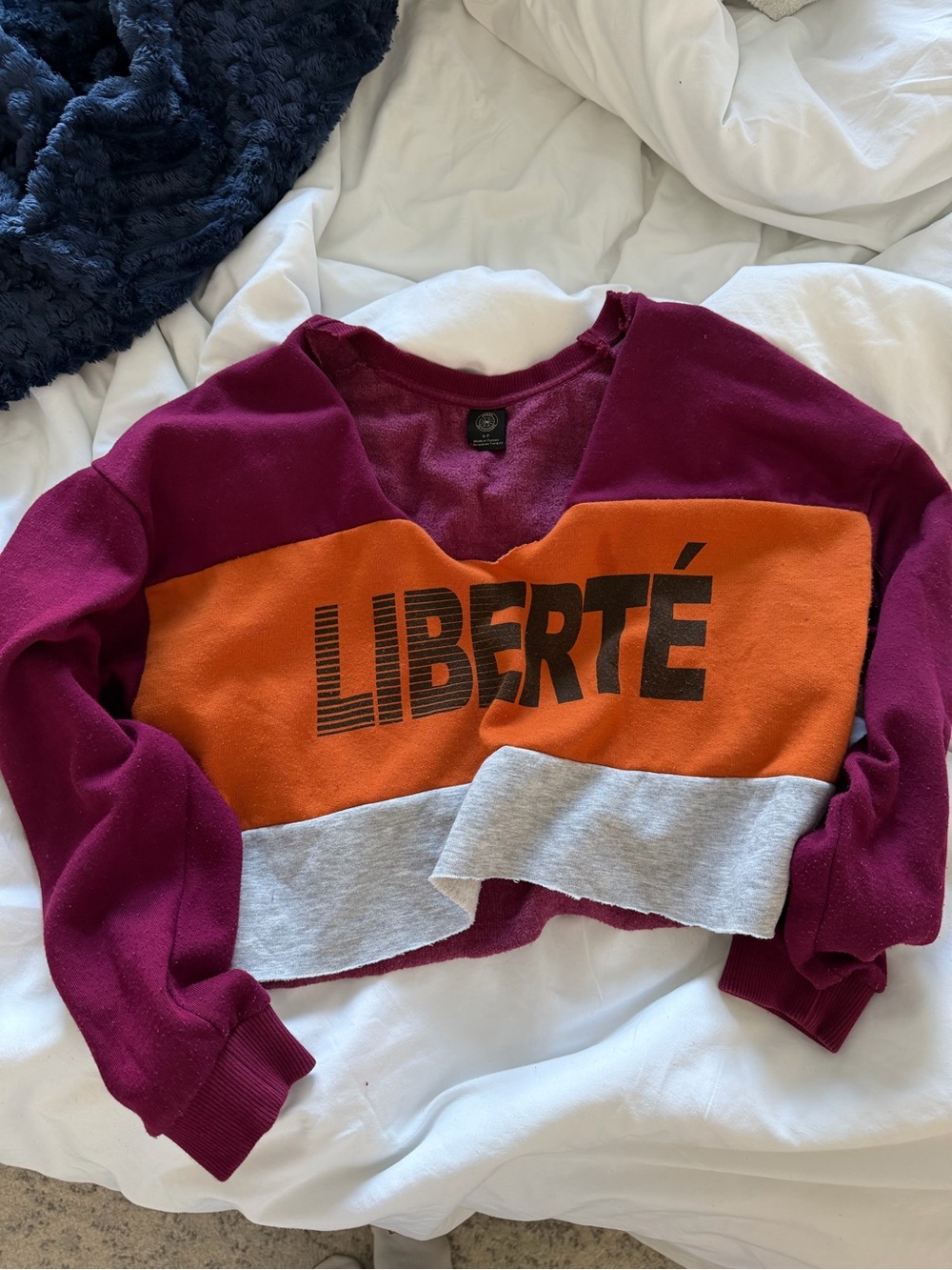 Urban Outfitters Cropped Sweatshirt